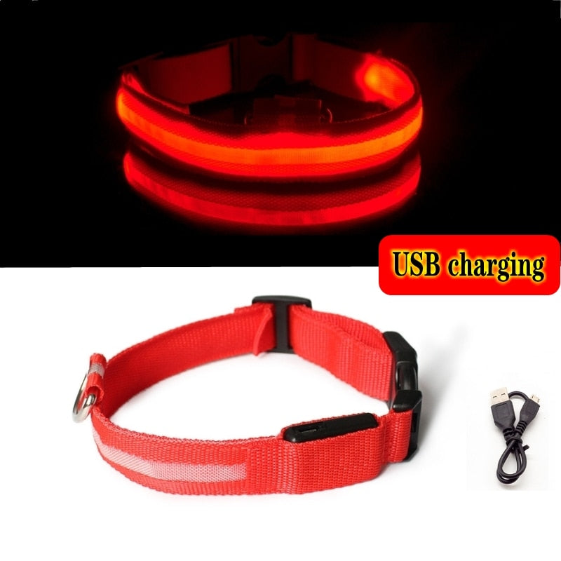 Led Dog Collar Light Anti-lost Collar For Dogs Puppies  Night Luminous Supplies Pet Products Accessories USB Charging/Battery