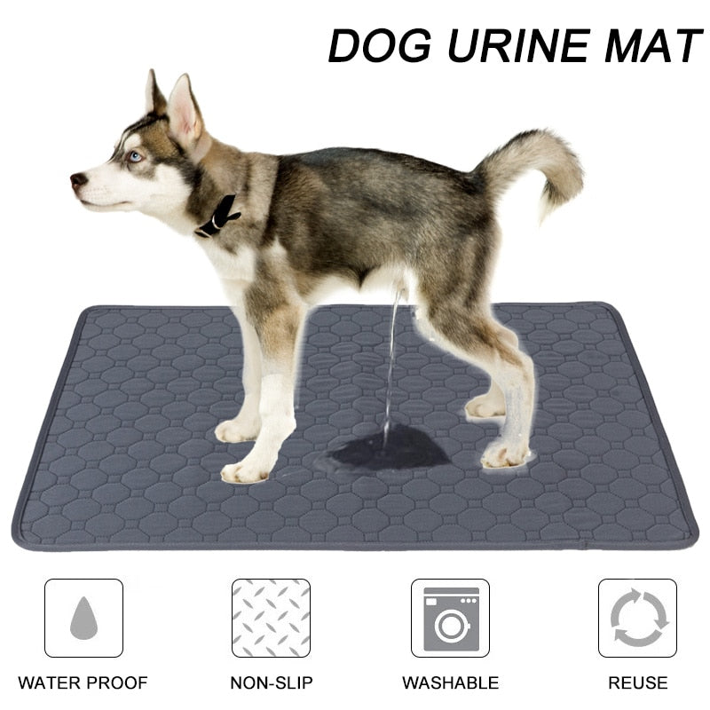 Dog Pee Pad Blanket